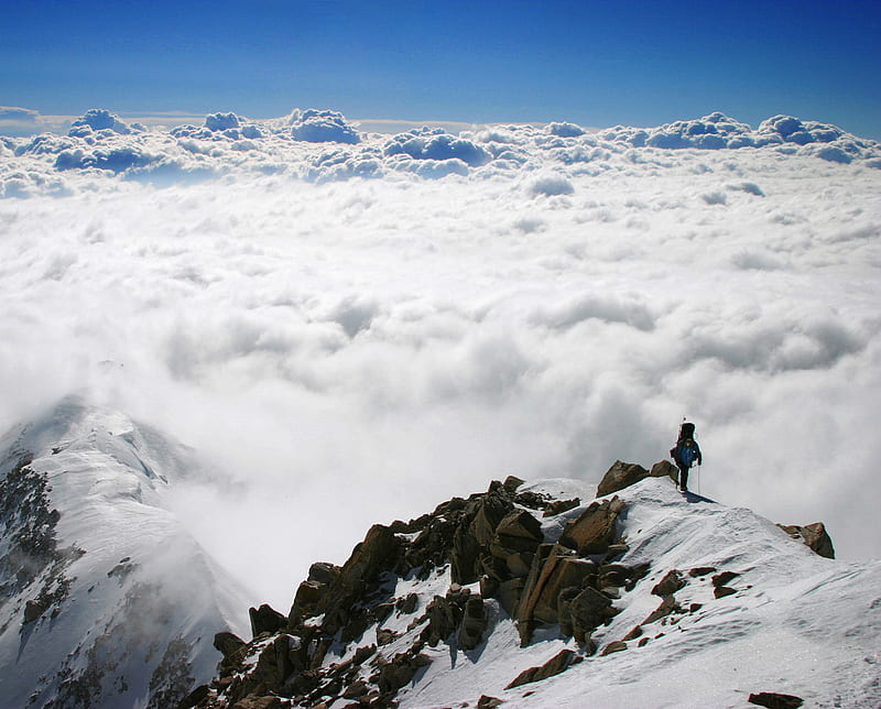 A Walk In The Clouds, denali national park, mount mckinley, HD wallpaper