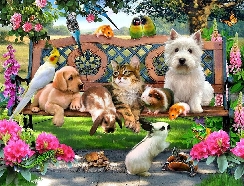 Pets in the park., rabbit, cat, tortoise, frog, pet, lizard, butterfly, bird, dog, HD wallpaper