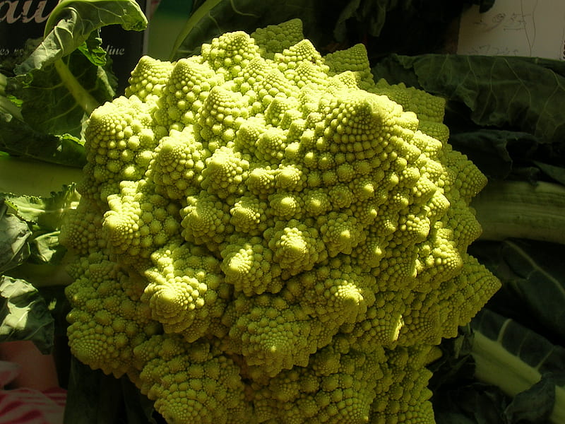 BROCCOLI CAULIFLOWER FRACTAL, broccoli, cauliflower, fractal, HD wallpaper