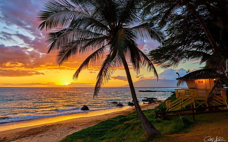 Sunrise in Hawaii, beach, sunrise, Hawaii, palms, hut, HD wallpaper