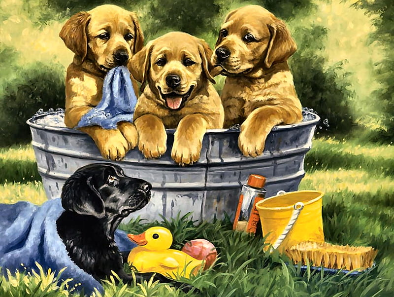 Squeaky Clean - Dogs F, art, bonito, pets, illustration, artwork, canine, animal, tub, puppies, painting, wide screen, labradors, dogs, HD wallpaper
