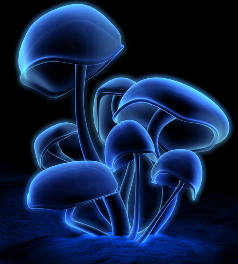 Fluro Mushrooms, art, fluorescent, mushrooms, HD phone wallpaper