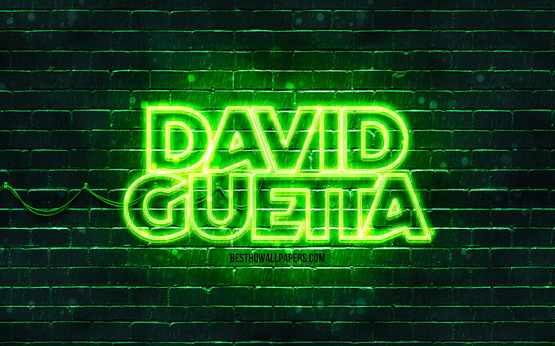 David guetta logo verde superestrellas, djs franceses, pared de ladrillo  verde, Fondo de pantalla HD | Peakpx