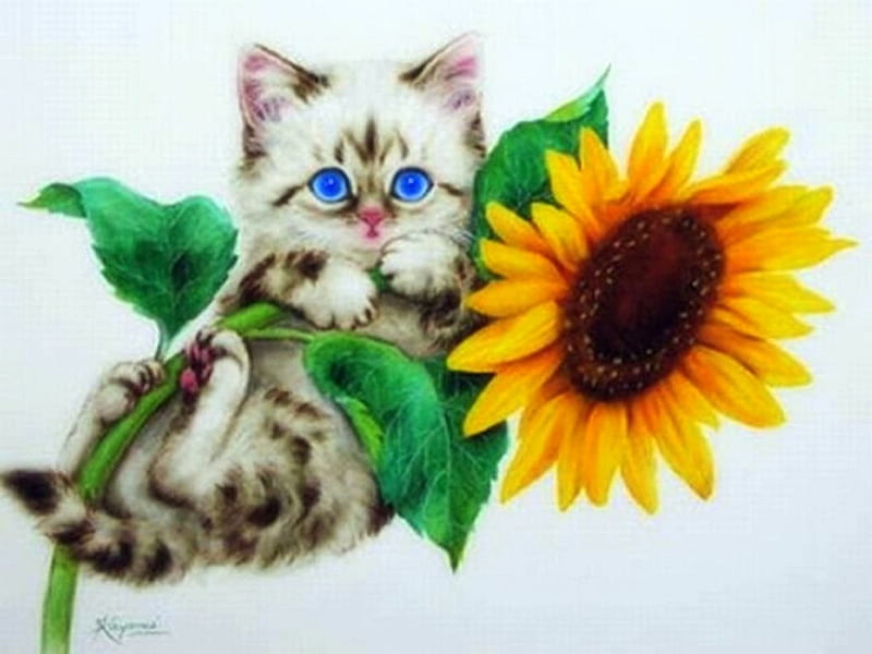 ..Sunflower Kitten.., pretty, draw and paint, adorable, paintings, sunflowers, flowers, animals, lovely, sunflower kitten, colors, love four seasons, kittens, creative pre-made, cute, weird things people wear, summer, cats, HD wallpaper