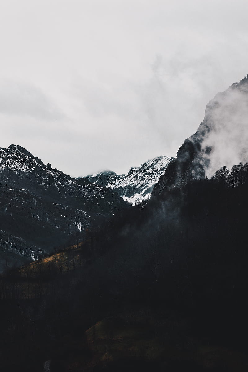 mountains, forest, fog, landscape, alpine, HD phone wallpaper