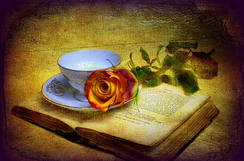 Rose and old book, pretty, lovely, pages, rose, book, bonito, old, still life, leaves, nice, coffee, cup, flowers, petals, morning, HD wallpaper