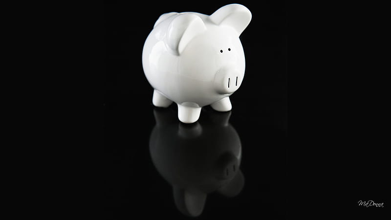 Save Your Pennies, money, pig, wall street, piggy bank, black and white, occupy, simple, reflection, wise, HD wallpaper