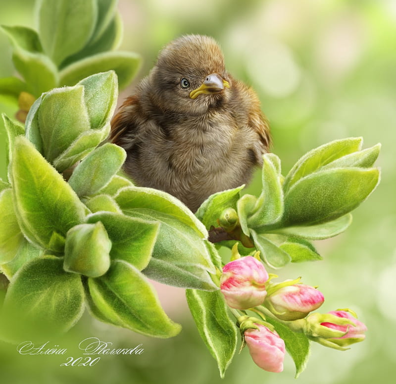 Serenity, spring, pink, chick, alenaekaterinburg, luminos, cute, fantasy, green, bird, flower, pasari, sparrow, HD wallpaper