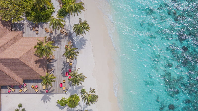 graphy, Aerial, beach, Maldives, Ocean, Palm Tree, Sand, HD wallpaper