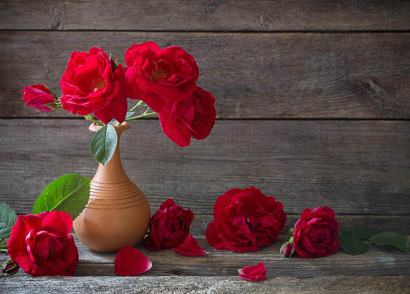 graphy, Still Life, Flower, Red Rose, Rose, Vase, HD wallpaper