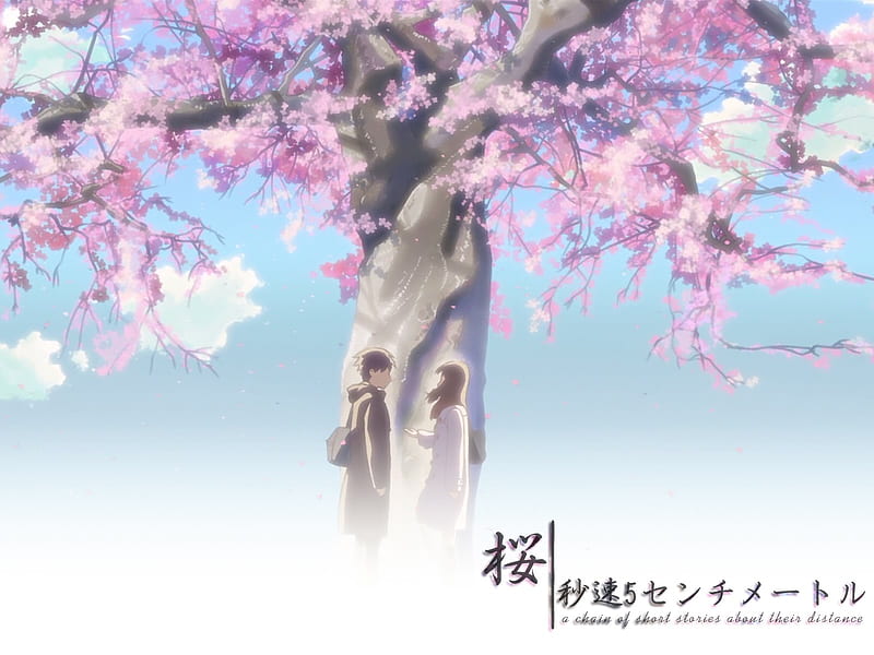 lovely, 5 centimeters per second, anime, other, HD wallpaper