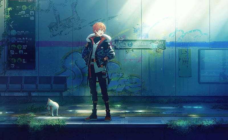 Video Game, Project Sekai: Colorful Stage! feat. Hatsune Miku, Shinonome Akito, HD wallpaper