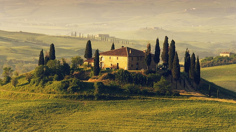 country villas in a tuscany landscape, hill, trees, villas, fog, HD wallpaper