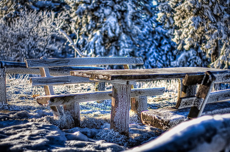 Winter-R, table, forest, bench, bonito, trees, winter, graphy, nice, cool, snow, ice, walk, r, blue, frost, HD wallpaper