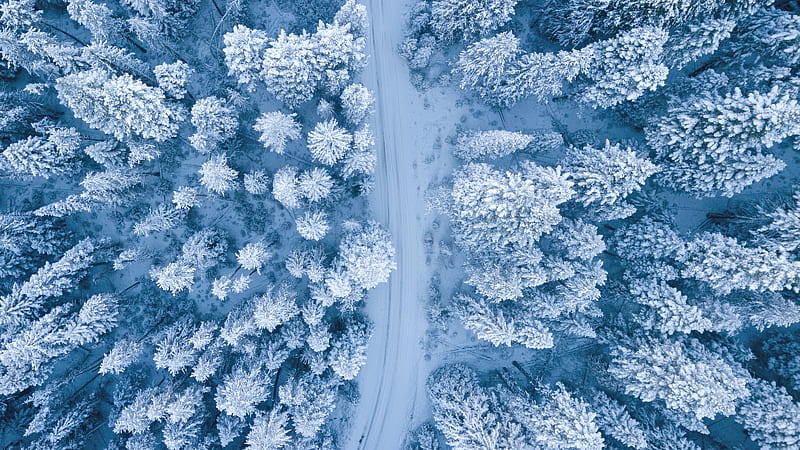 Forest from high above, graphy, snow, nature, white, winter, frost, blue, forest, topography, aerial, HD wallpaper