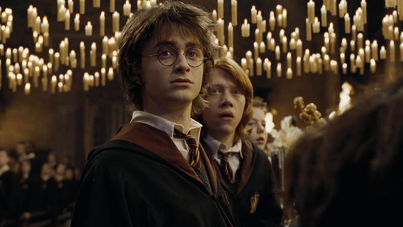 Harry Potter, Harry Potter and the Goblet of Fire, Harry Potter , Daniel Radcliffe , Ron Weasley , Rupert Grint, HD wallpaper