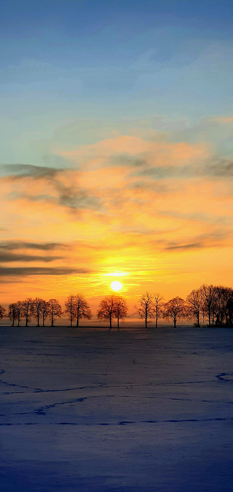 Rising Sun, cold, landscape, nature, pastel, sky, snow, sun, sunset, winter, HD phone wallpaper