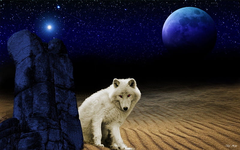 Wolf Fantasy, stars, moon, desert, planet, arctic wolf, artwork, night, HD wallpaper