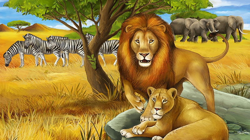 African Wildlife, female, elephanats, male, grass, Africa, lion, tree, pride, zebras, HD wallpaper