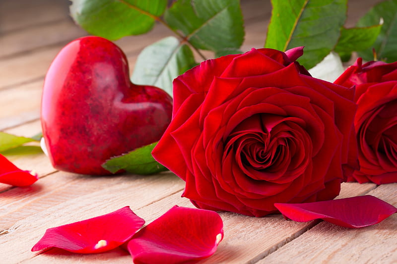 Happy Valentine's Day!, red, rose, heart, petals, valentine, card, HD ...