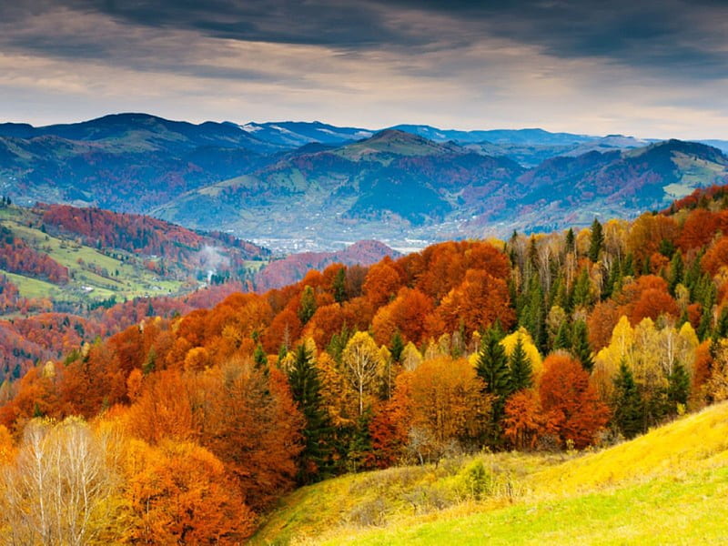 North Carolina Fall, forest, fall, autumn, mountains, nature, trees, landscape, HD wallpaper