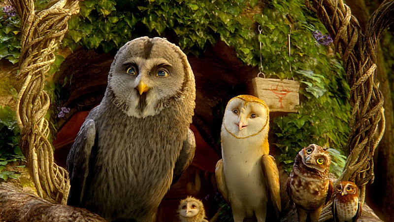 Legend of the Guardians-The Owls of GaHoole movie 15, HD wallpaper