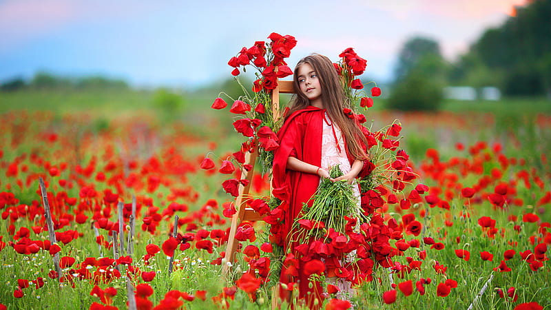 Loose Hair Girl Standing In Center Of Red Roses Between Green Field With Blur Background Cute, HD wallpaper