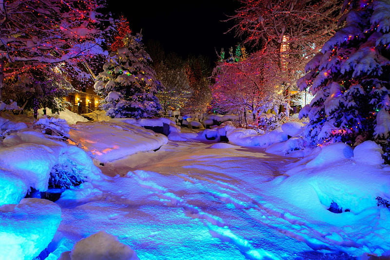 Colorful Winter Christmas Magic, Christmas, Nights, Lights, Snow