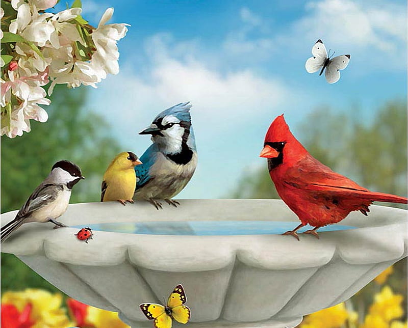 Summer Birds, chickadee, painting, bluejay, flowers, butterflies