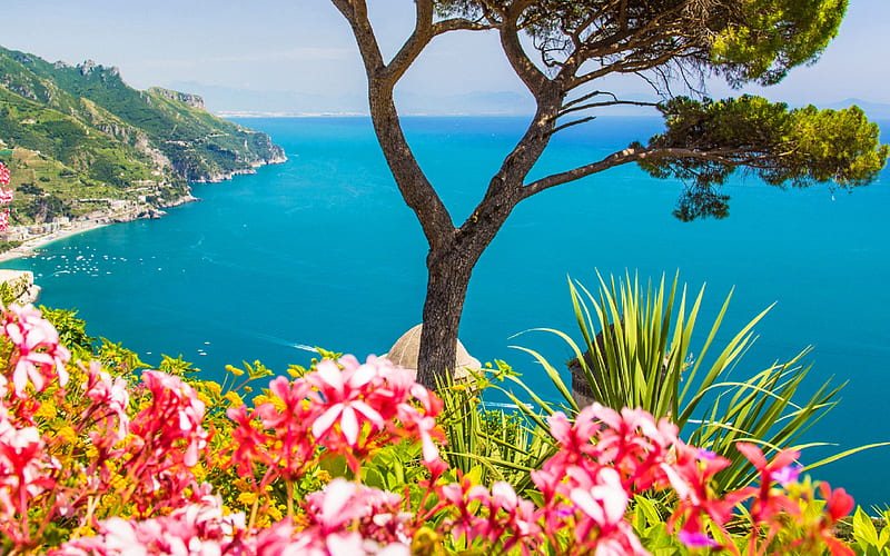 Amalfi, sea, coast, flowers, mountains, Italy, HD wallpaper