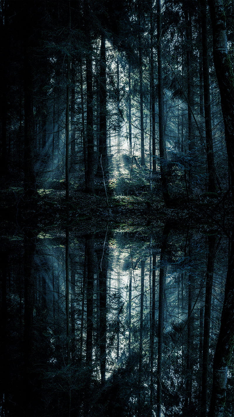 FOREST NATURE, almoe, black, blue sky, horor, horror, human, hutan, new, HD phone wallpaper