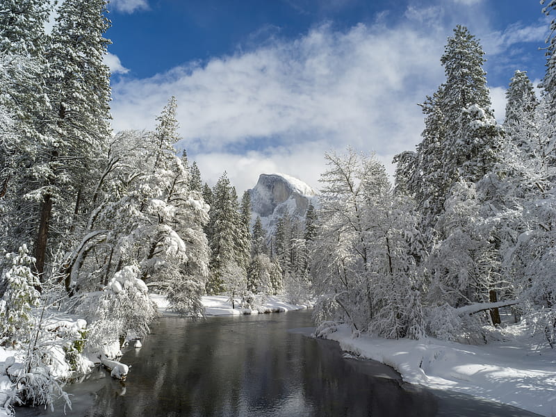 mountain, river, snow trees, valley, HD wallpaper