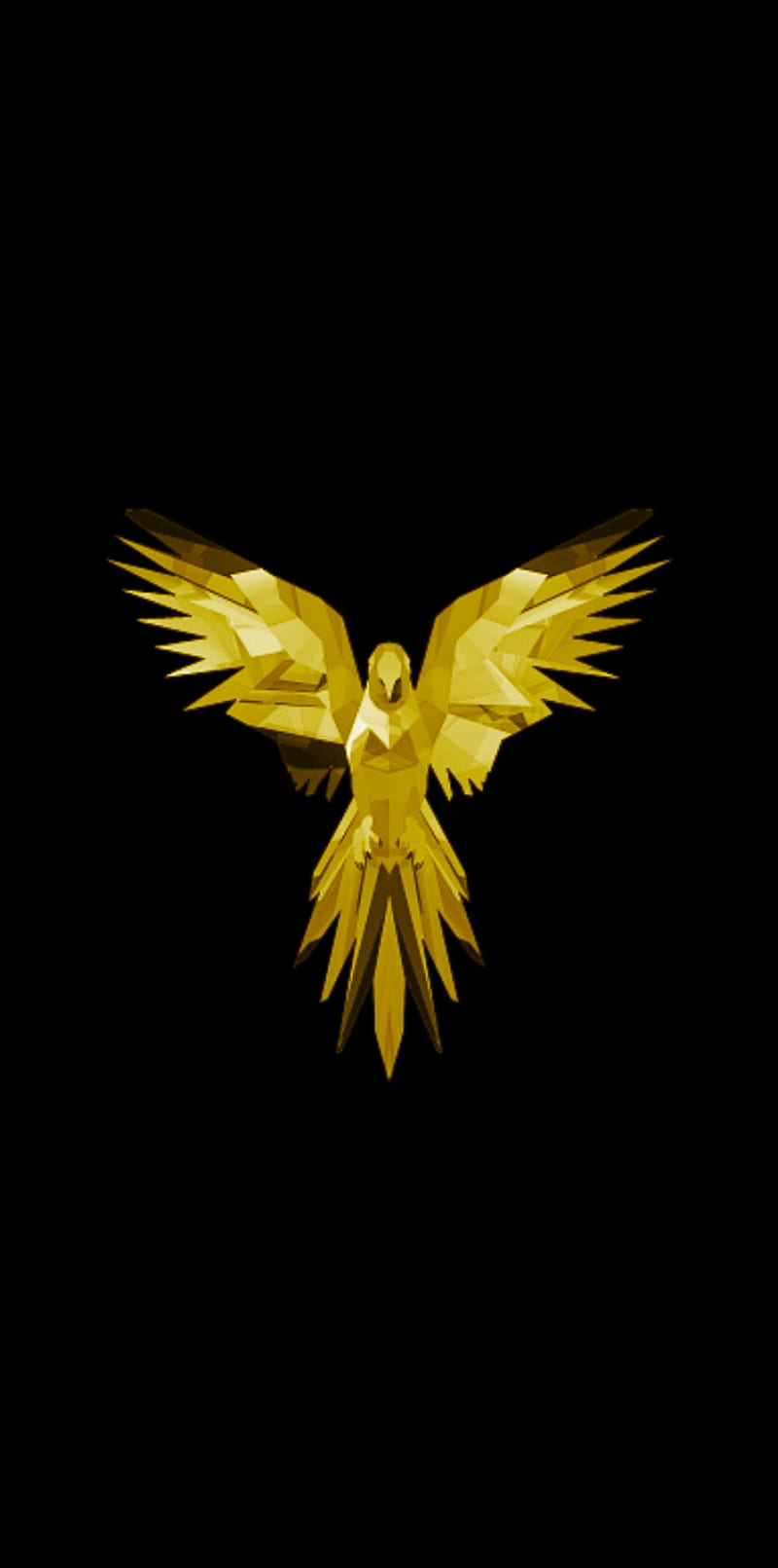 Golden bird, bird, golden, eagle, amoled, HD phone wallpaper