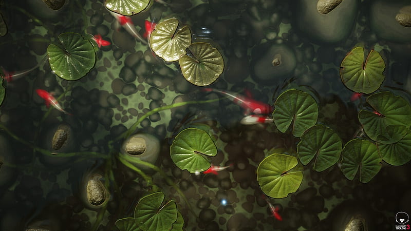 Pond, summer, koi, xiaowei shen, view from the top, red, fish, lake, water, vara, green, pesti, HD wallpaper