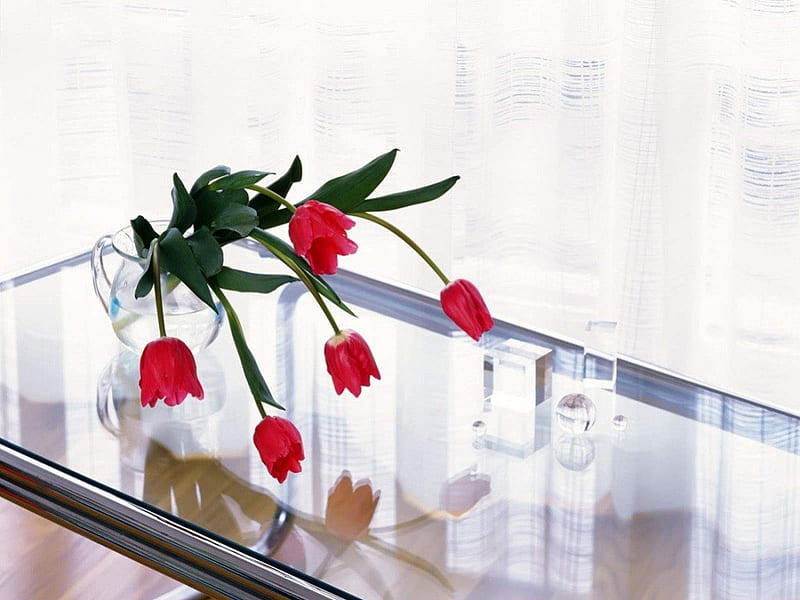 Floral home, red, home, bonito, floral, sweet, crystal vase, green, love, bright, siempre, tulips, light, window, spring, entertainment, precious, fashion, HD wallpaper