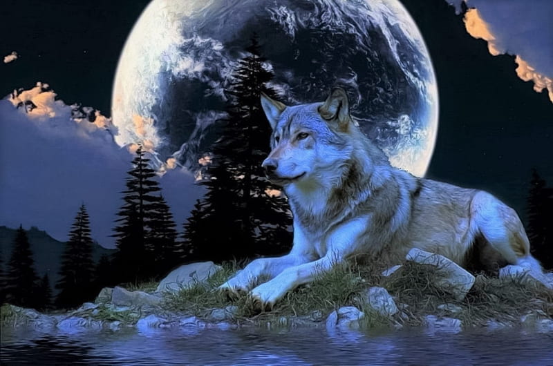 Alone at full moon, alone, moon, wolf, full, HD wallpaper