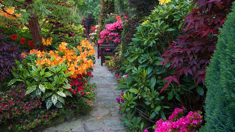 Beautiful Garden, path, garden, flowers, nature, HD wallpaper