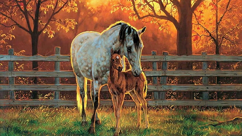 Love, cavalo, foal, caballo, horse, animals, HD wallpaper