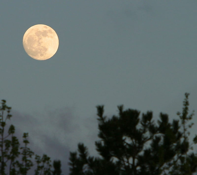 Moon, evening, HD wallpaper | Peakpx