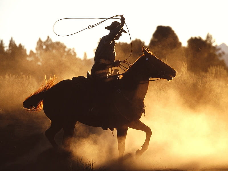 Cowboy in Action, Cowboy, Golden, Rock, Lasso, Grass, Dust, Saddle, Horse, Mountains, Wild, Trees, Hat, HD wallpaper