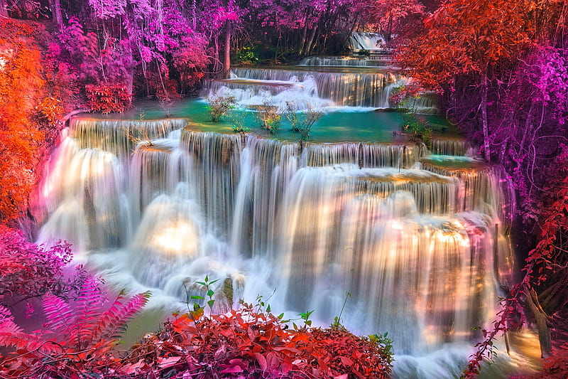 Forest waterfall, cascades, colorful, forest, waterfall, bonito, trees ...