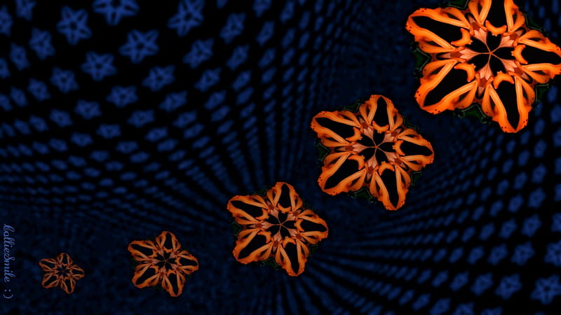 Daydreamin' Daylily, stars, Ha11oween, orange, co11ie, Abstract, black, floating, blue, HD wallpaper