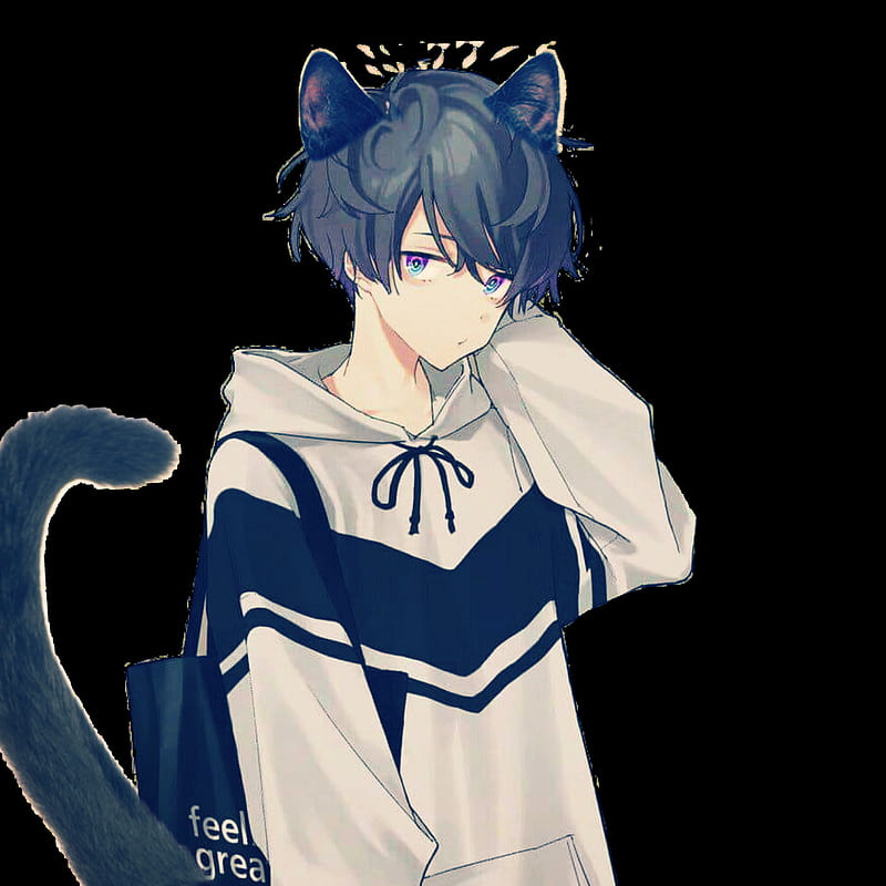 Anime Boy With Cat Kawaii, Anime Catboy, HD phone wallpaper | Peakpx