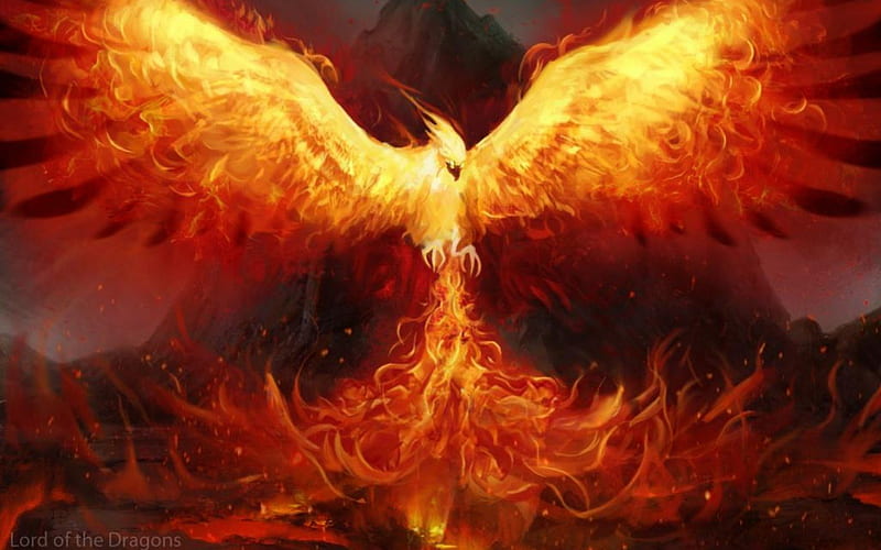 The Phoenix, fire, fantasy, wings, bird, phoenix, HD wallpaper | Peakpx
