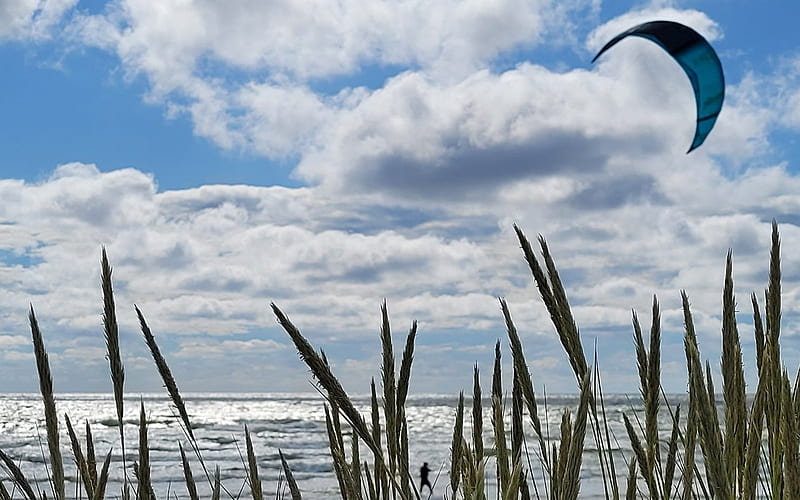 Kite and Bent-grass, Latvia, sea, kite, bentgrass, clouds, HD wallpaper