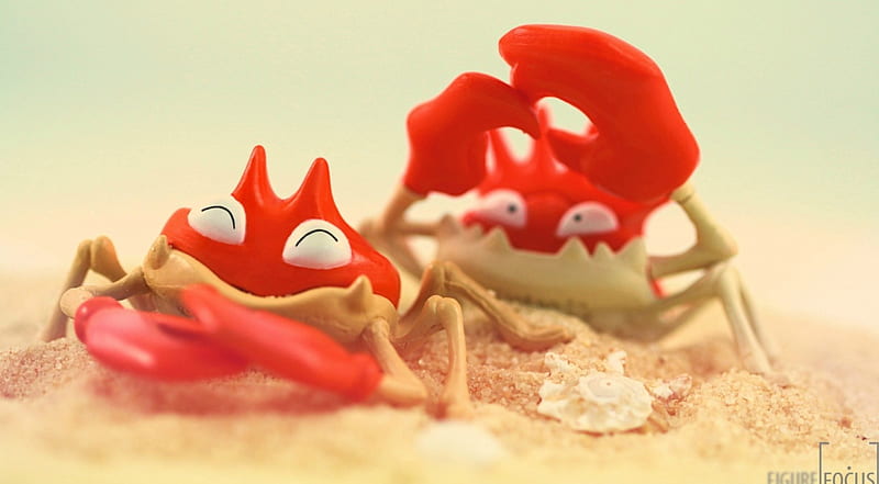 A couple of crabs, red, beach, claw, sand, summer, funny, couple, crab, HD wallpaper