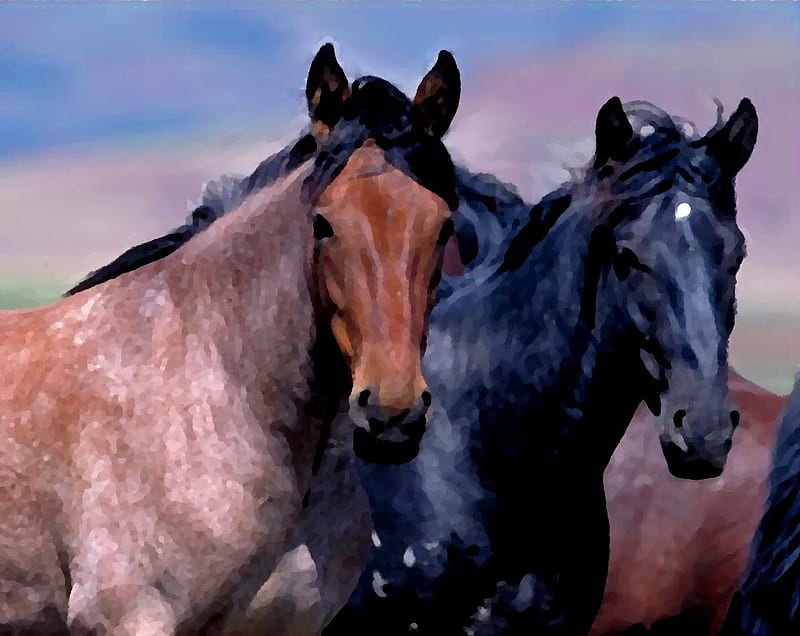 Mustangs Stallions Painting, painting, animals, horses, HD wallpaper ...