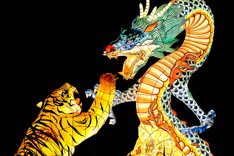 tiger and dragon illustration, HD wallpaper