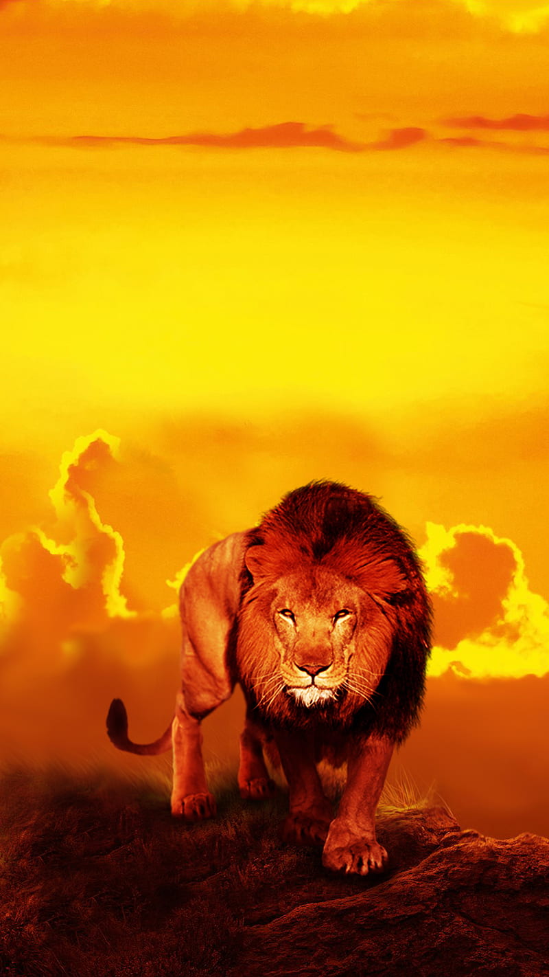 Lion 3d, 2020, 3d, Fant_asy, Lion, animal, best, car, girl, landscape,  love, HD phone wallpaper | Peakpx