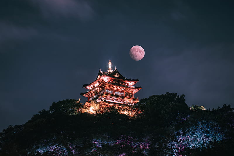 brown and white temple under full moon, HD wallpaper